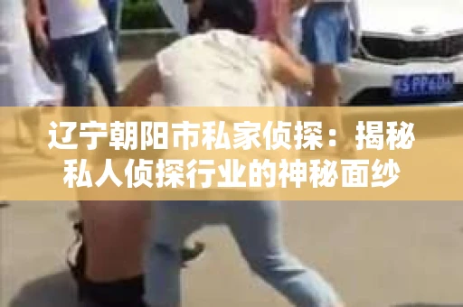 辽宁朝阳市私家侦探：揭秘私人侦探行业的神秘面纱