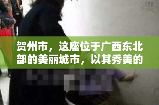 贺州市，这座位于广西东北部的美丽城市，以其秀美的山水和悠久的历史文化而闻名。然而，在这座城市中，你是否知道，也有私家侦探的身影穿梭其中，为人们解决各种棘手的问题。今天，就让我带你走进贺州市的私家侦探世界，一探究竟。