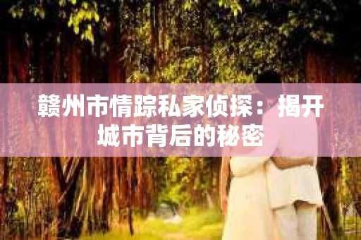 赣州市情踪私家侦探：揭开城市背后的秘密