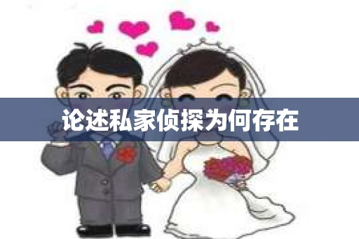 论述私家侦探为何存在