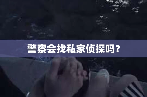 警察会找私家侦探吗？