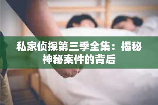 私家侦探第三季全集：揭秘神秘案件的背后