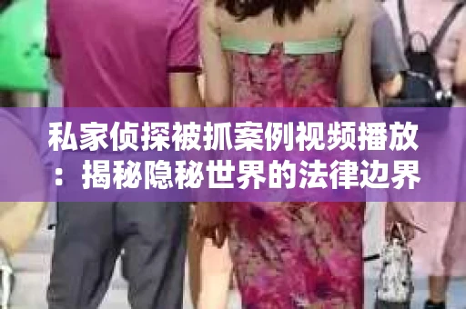 私家侦探被抓案例视频播放：揭秘隐秘世界的法律边界