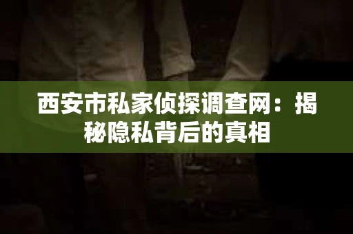 西安市私家侦探调查网：揭秘隐私背后的真相