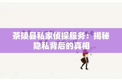 茶陵县私家侦探服务：揭秘隐私背后的真相