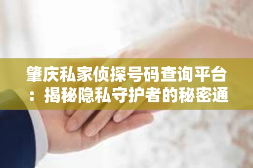 肇庆私家侦探号码查询平台：揭秘隐私守护者的秘密通道