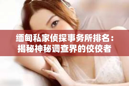 缅甸私家侦探事务所排名：揭秘神秘调查界的佼佼者