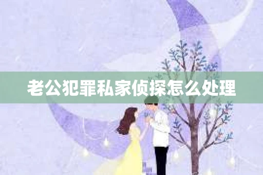 老公犯罪私家侦探怎么处理