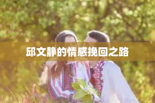 邱文静的情感挽回之路