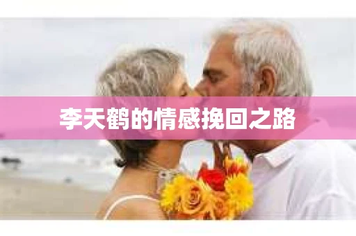 李天鹤的情感挽回之路