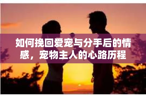 如何挽回爱宠与分手后的情感，宠物主人的心路历程