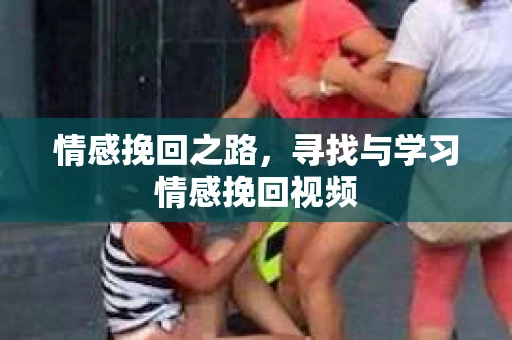 情感挽回之路，寻找与学习情感挽回视频