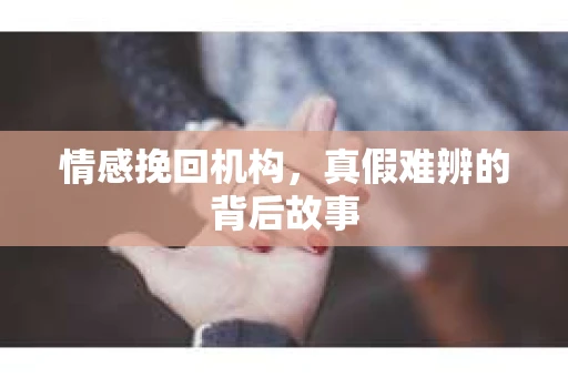 情感挽回机构，真假难辨的背后故事