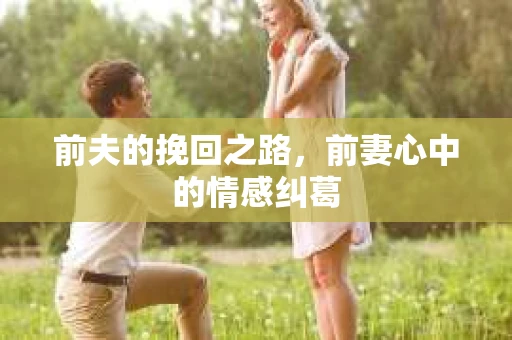 前夫的挽回之路，前妻心中的情感纠葛