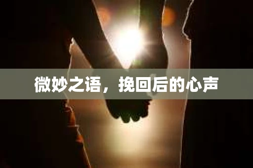 微妙之语，挽回后的心声