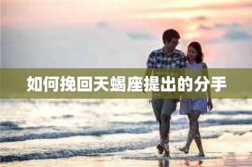 如何挽回天蝎座提出的分手