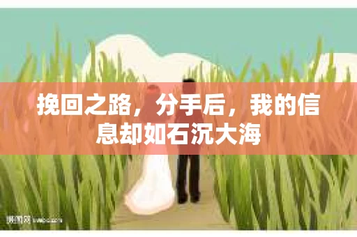 挽回之路，分手后，我的信息却如石沉大海