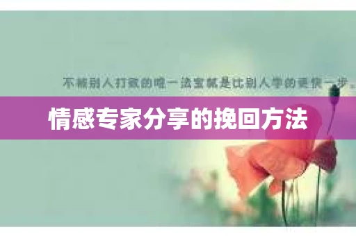 情感专家分享的挽回方法