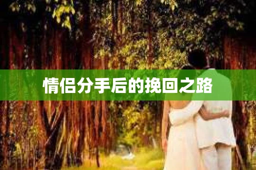 情侣分手后的挽回之路