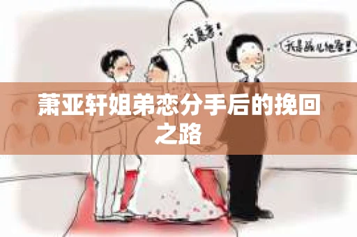 萧亚轩姐弟恋分手后的挽回之路