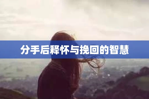 分手后释怀与挽回的智慧