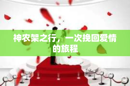神农架之行，一次挽回爱情的旅程